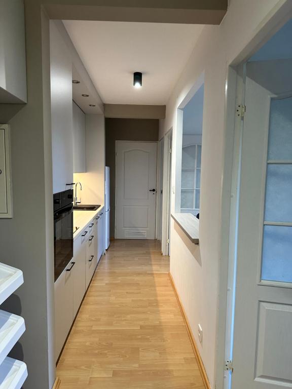 Kuchyňa alebo kuchynka v ubytovaní Dekoratoria Apartments
