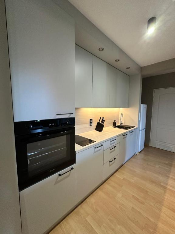 Kuchyňa alebo kuchynka v ubytovaní Dekoratoria Apartments