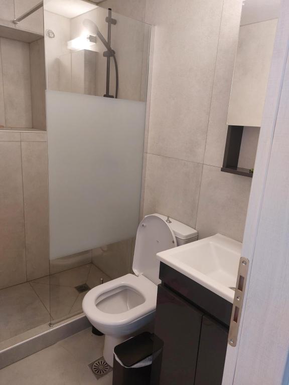 Vannituba majutusasutuses Apomero Apartment in Rochari Panormos