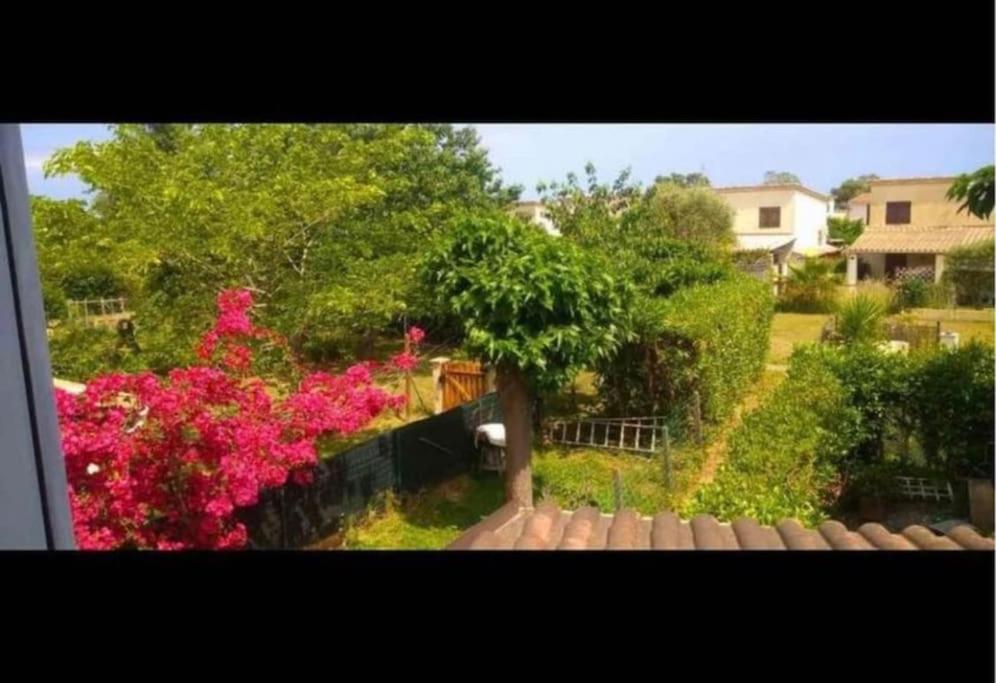 Elle offre une vue sur un jardin avec des fleurs roses et une clôture. dans l'établissement Casa Serena avec accès direct mer, jardin et barbecue, à Poggio-Mezzana