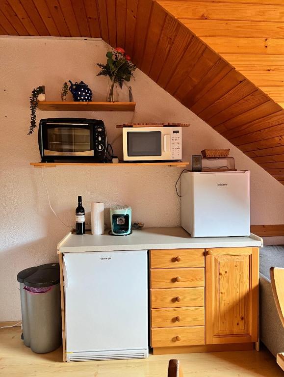 Kuchyň nebo kuchyňský kout v ubytování Apartma v objemu gora - Krvavec