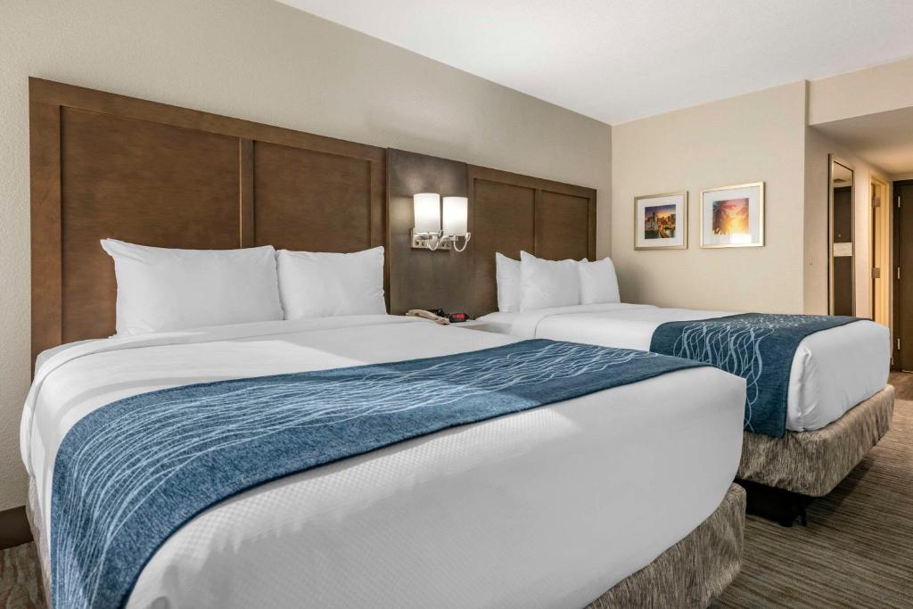 Comfort Inn & Suites Downtown Brickell-Port of Miami - Queen Room With Two Queen Beds - Non-Smoking