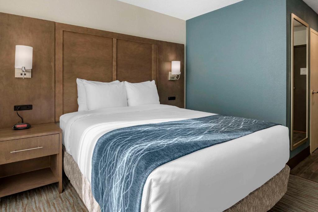 Comfort Inn & Suites Downtown Brickell-Port of Miami - Queen Room - Accessible/Nonsmoking