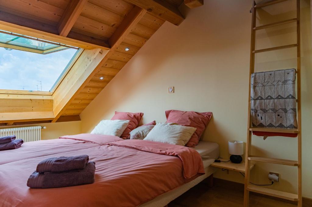 Grand duplex familial 113 m - Jardin - Colmar Gare - 4 Chambres – photo 7