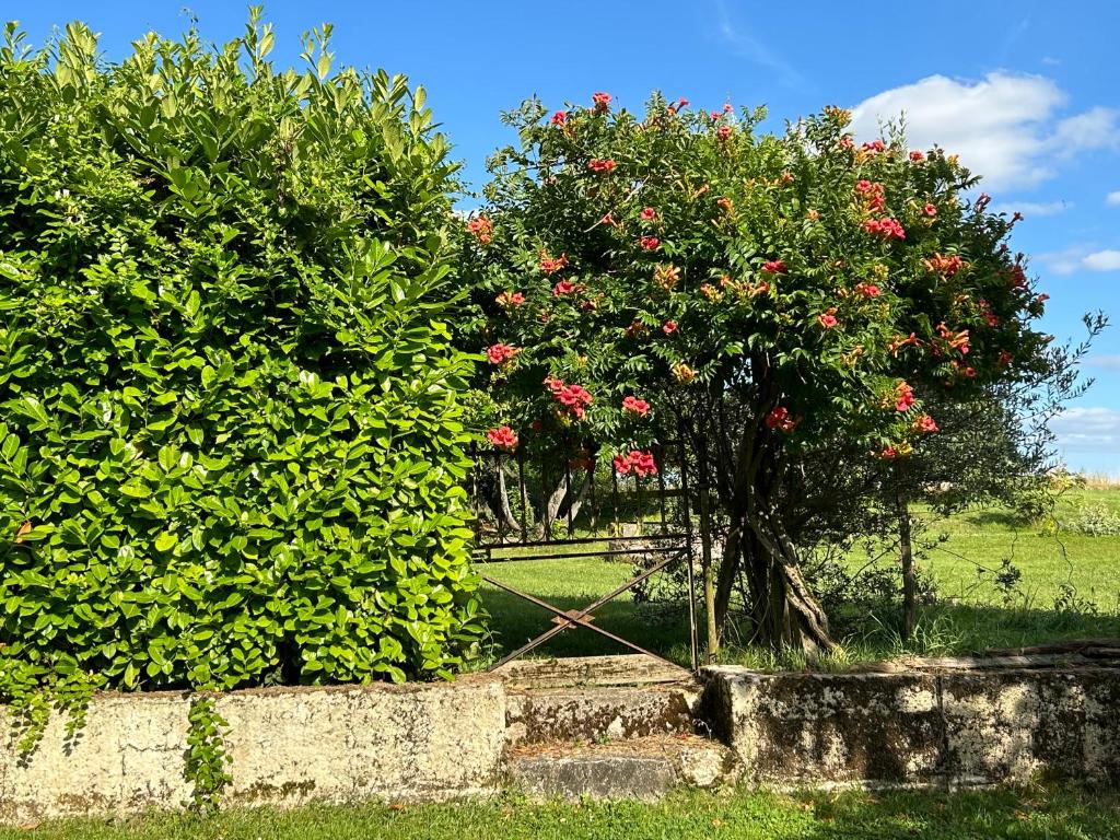 Zahrada ubytování Gîte En Damé with private pool