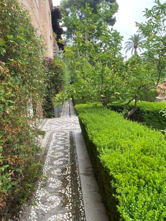 a garden with bushes and a stone walk way at La résidence in Bagnolet