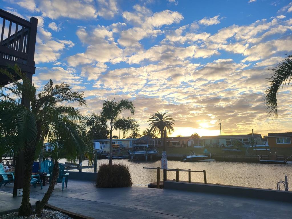 a sunset over a river with palm trees and houses at Paddle in the sunset with Manatee in Hudson