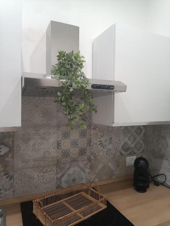 Kuchyň nebo kuchyňský kout v ubytování La Casa di Ary