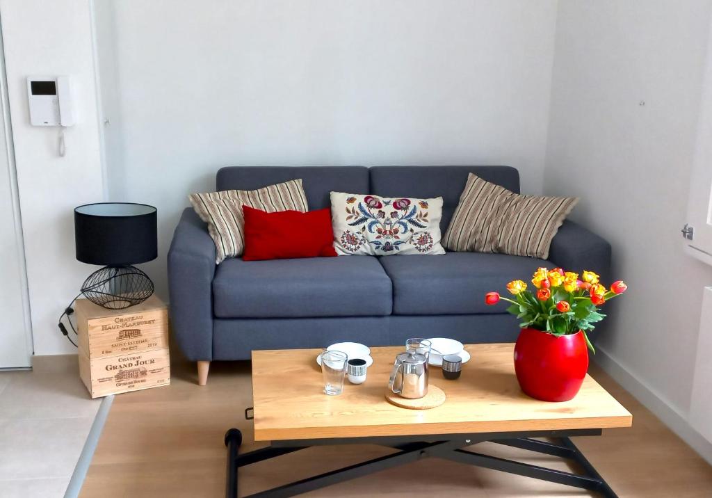 un salon avec un canapé et une table basse dans l'établissement Grand studio parking-bord de Loire- hyper centre, à Orléans