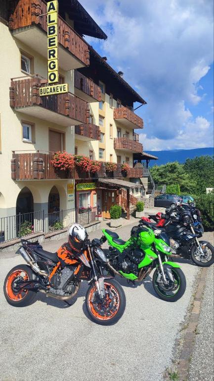 Fotografie z fotogalerie ubytování Albergo Bucaneve v destinaci Malosco