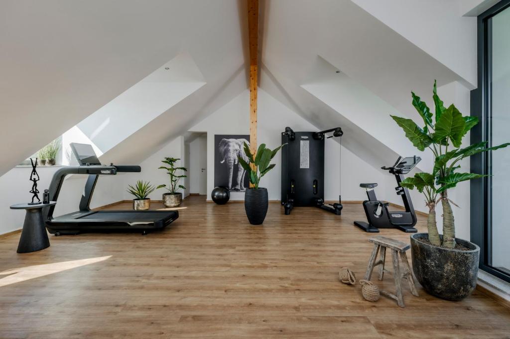 Fotografie z fotogalerie ubytování Hotel PURS v destinaci Andernach