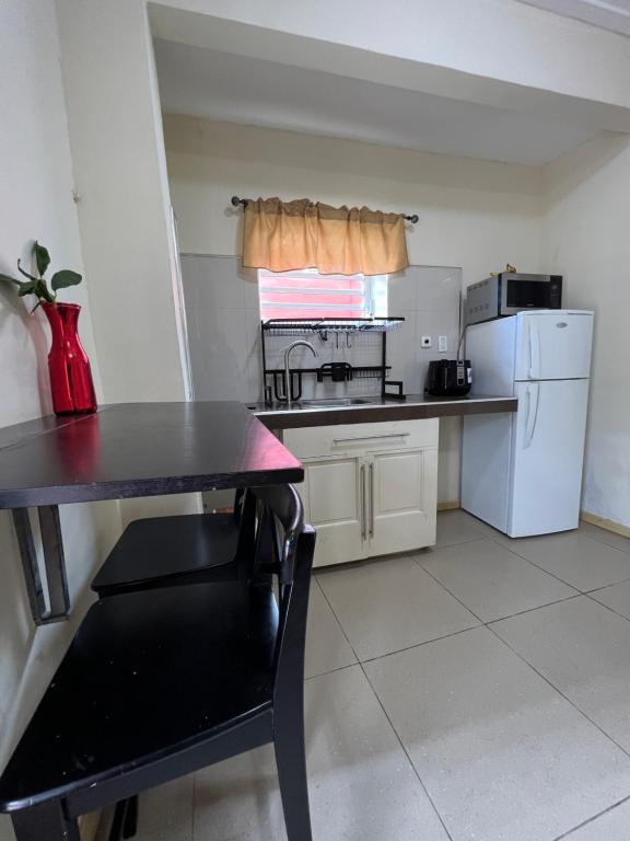 Kuchyň nebo kuchyňský kout v ubytování Mustique Suites Curacao
