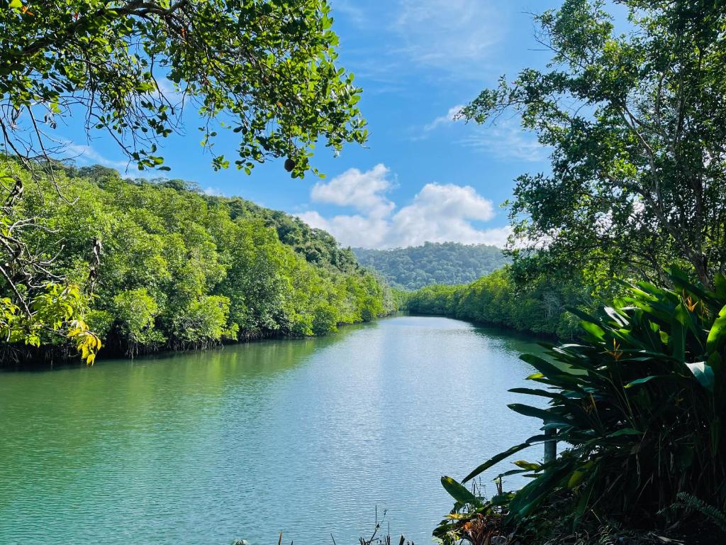 Mangrove bungalow & restaurant - 19