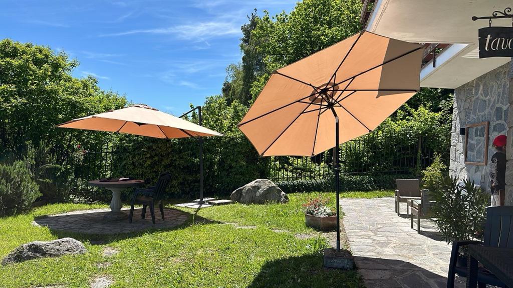 Zahrada ubytování Villa D'ALBA guest house