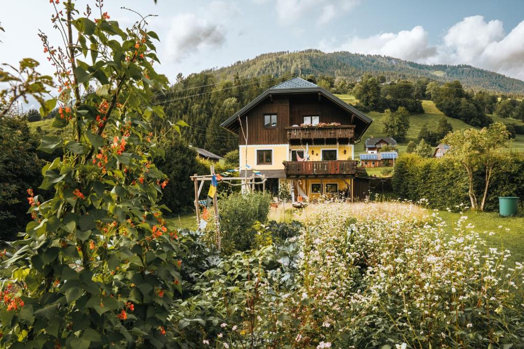 a house in the middle of a field of flowers at Appartements K62 in Bad Mitterndorf