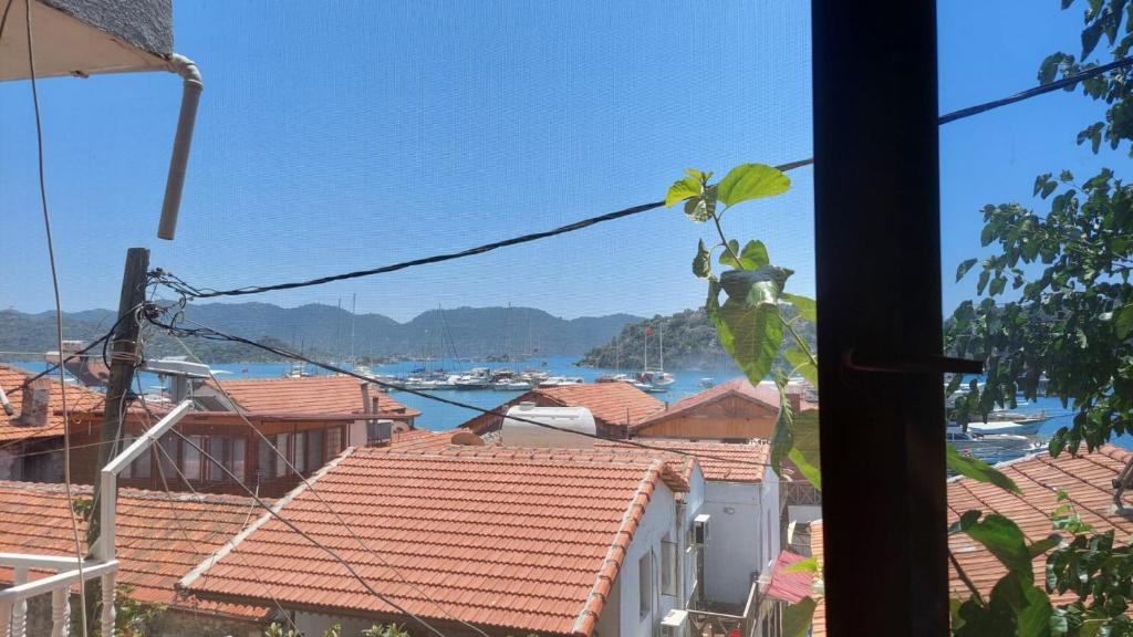 Příroda nedaleko aparthotelu