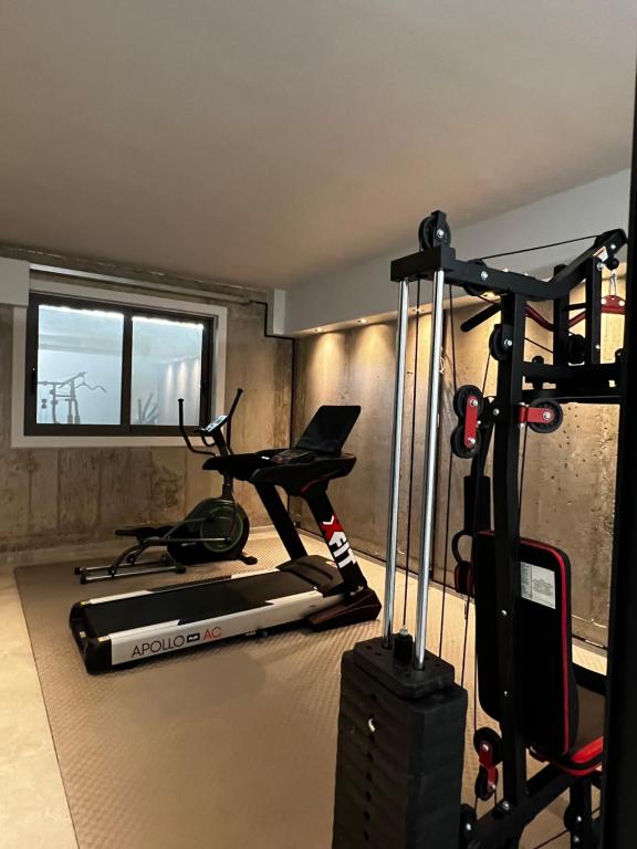 Fitness centrum a/nebo fitness zařízení v ubytování Muses