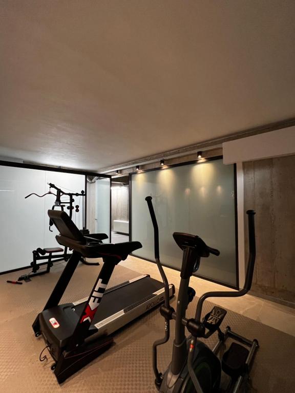 Fitness centrum a/nebo fitness zařízení v ubytování Muses