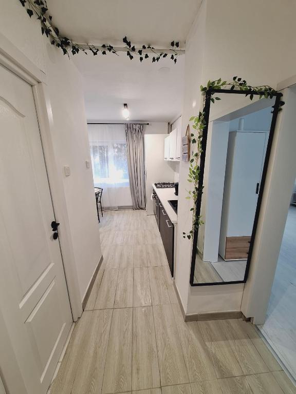 a hallway with a large mirror and a kitchen at R&R studio in Cluj-Napoca
