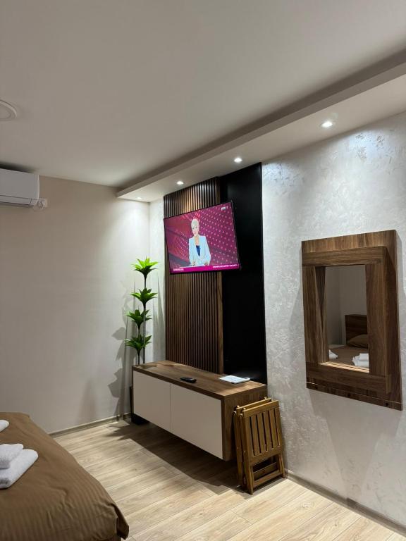 TV a/nebo společenská místnost v ubytování Apartments Green Beograd