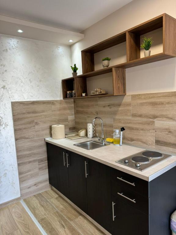 Kuchyň nebo kuchyňský kout v ubytování Apartments Green Beograd