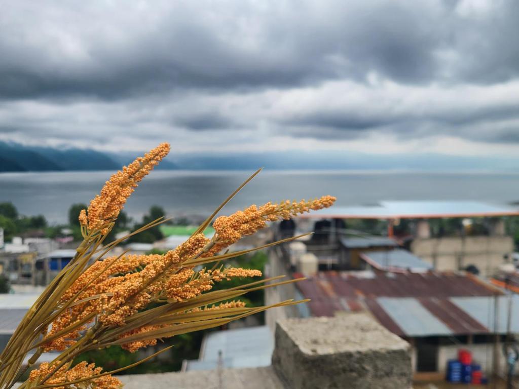 Φυσικό τοπίο κοντά σε αυτός ο ξενώνας