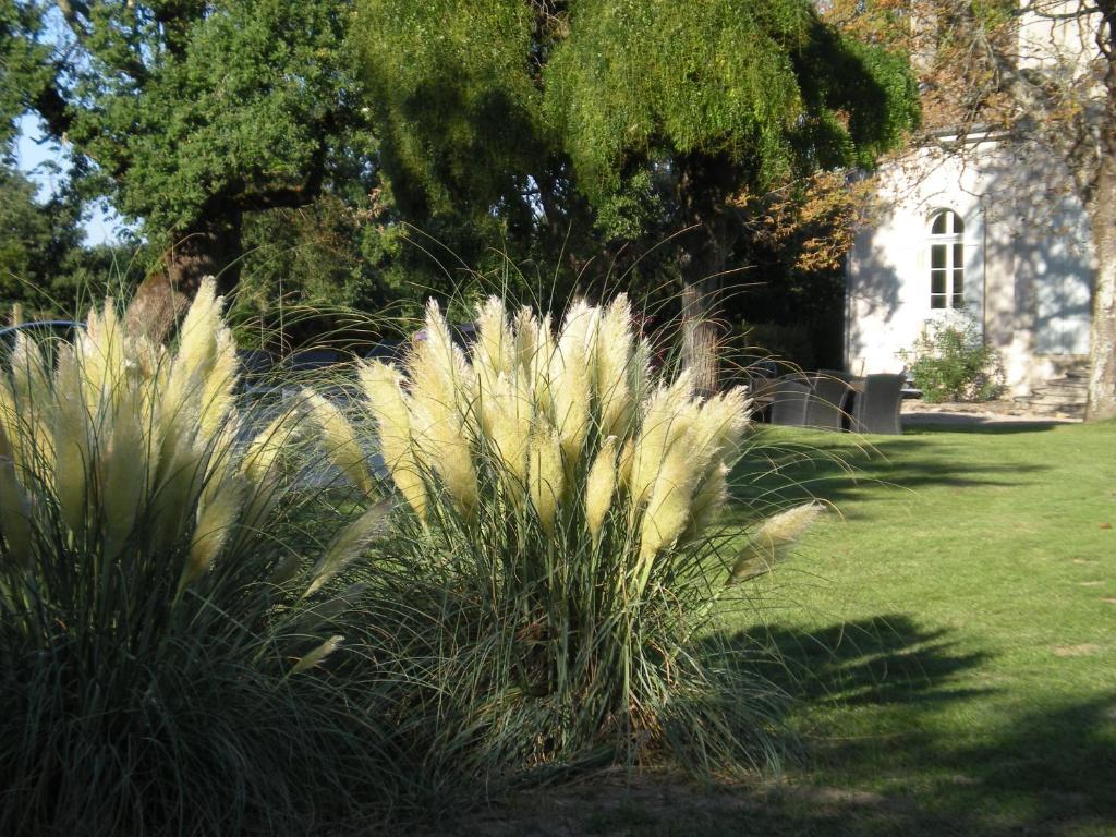 Zahrada ubytování Manoir Larcouillet