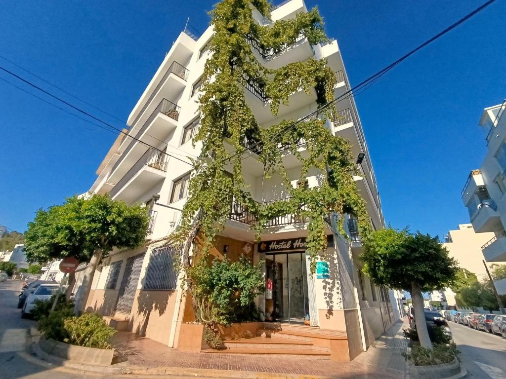 a white building with plants growing on it at Hostal Horizonte in San Antonio