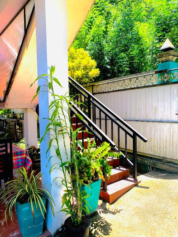 Deshan Homestay & Restaurant - 14