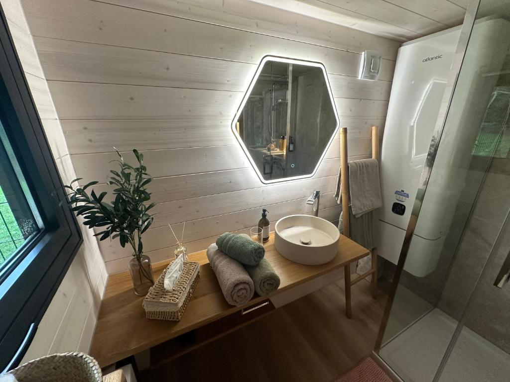 Koupelna v ubytování Tiny House des Cigognes