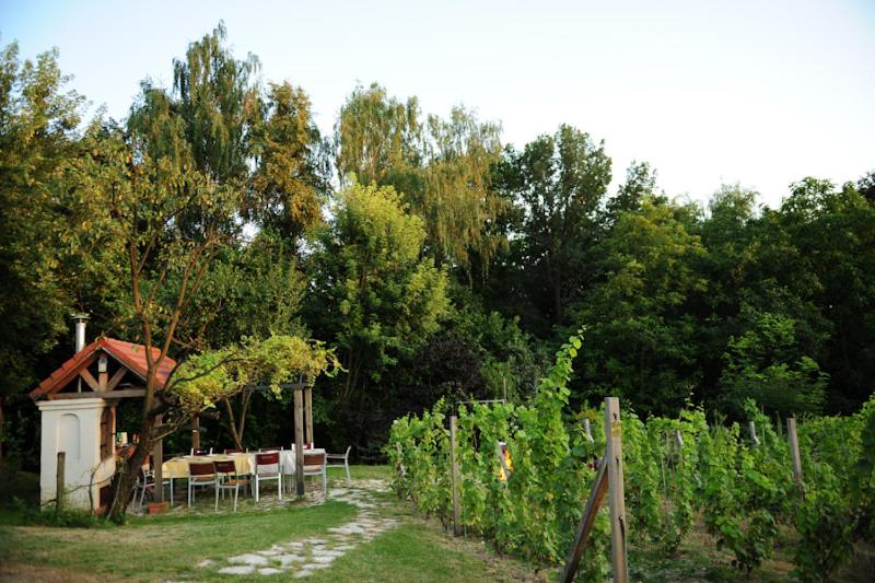 Fotografia z galérie ubytovania Apartamenty Nadedworce v destinácii Kazimierz Dolny