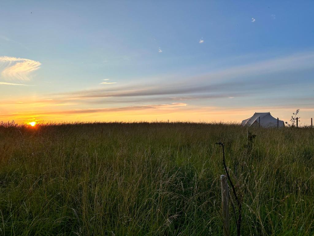 Příroda nedaleko luxury tent