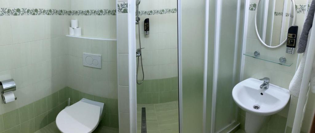Koupelna v ubytování Star Hotels Benecko