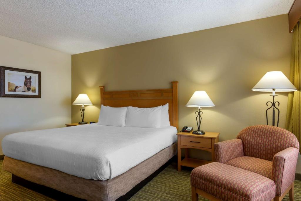 Best Western Paint Pony Lodge - Habitación King - Fumadores