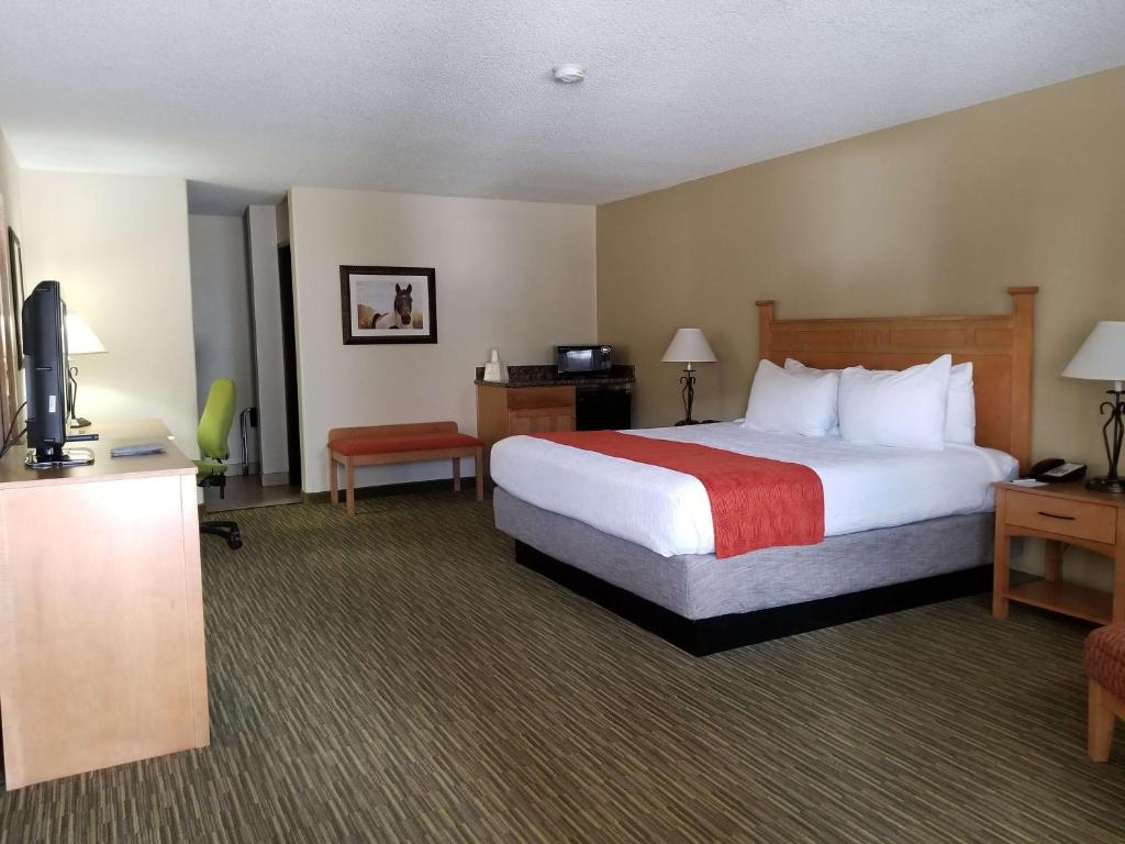 Best Western Paint Pony Lodge - Chambre Lit King-Size Avec Cheminée - Non-Fumeurs