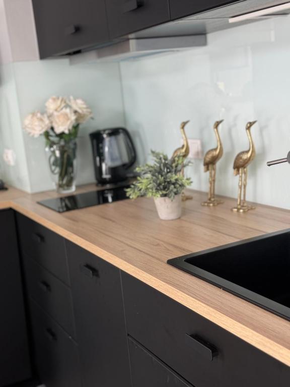 Fotografia z galérie ubytovania Luxury Apartment v destinácii Ustka
