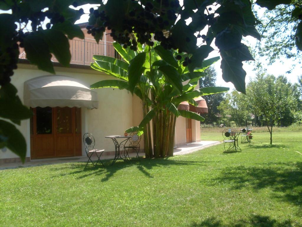 B&B Al Tramonto في مونزامبانو: شجرة في ساحة منزل