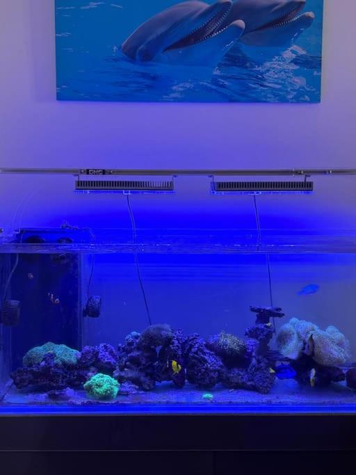 Fotografie z fotogalerie ubytování Ocean Suite con letto ad acqua v destinaci Delebio