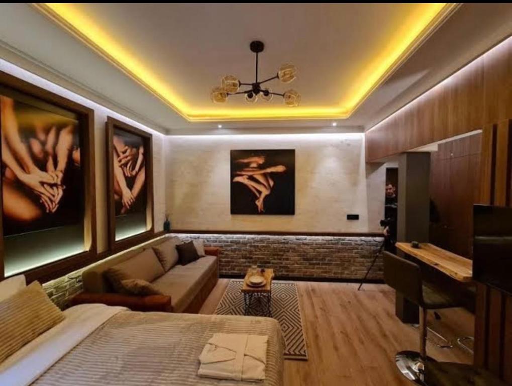 a bedroom with a bed and a couch and a desk at Apartment Despot in Belgrade