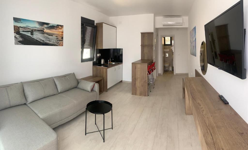 TV a/nebo společenská místnost v ubytování Reževići Apartments