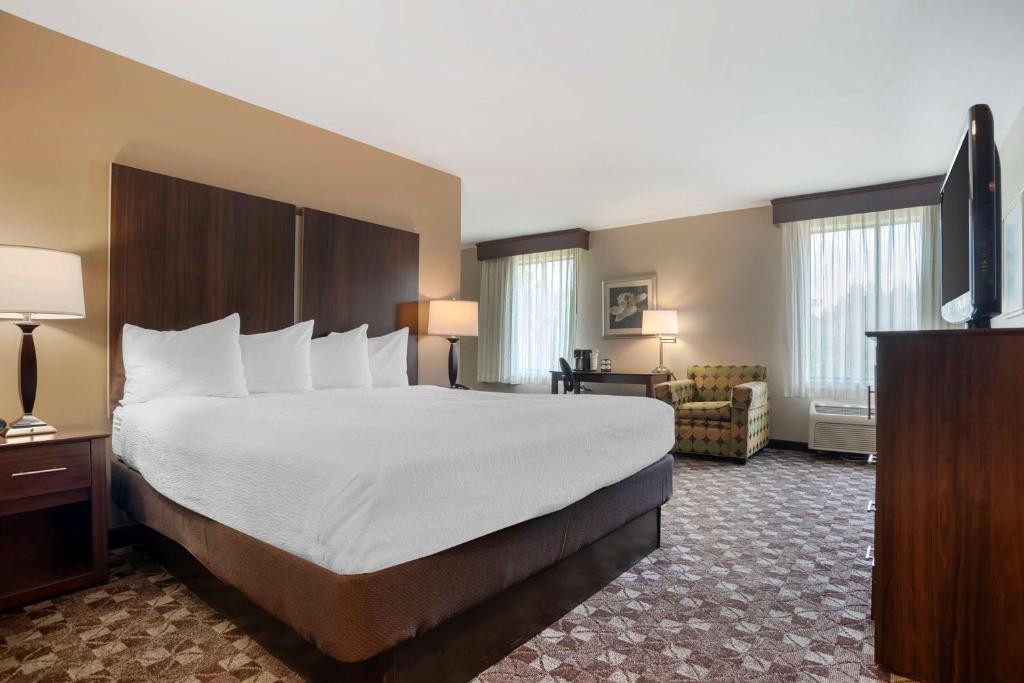 a hotel room with a large bed and a television at Best Western Plus Oak Mountain Inn in Pelham