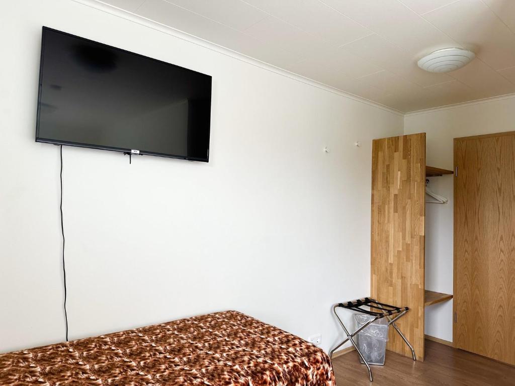 TV a/nebo společenská místnost v ubytování ALBERT Guesthouse