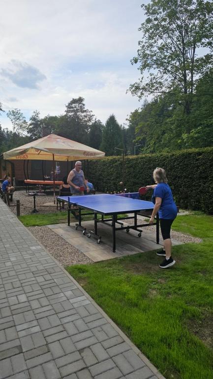 Stolní tenis v ubytování Penzion Čtyřlístek nebo okolí