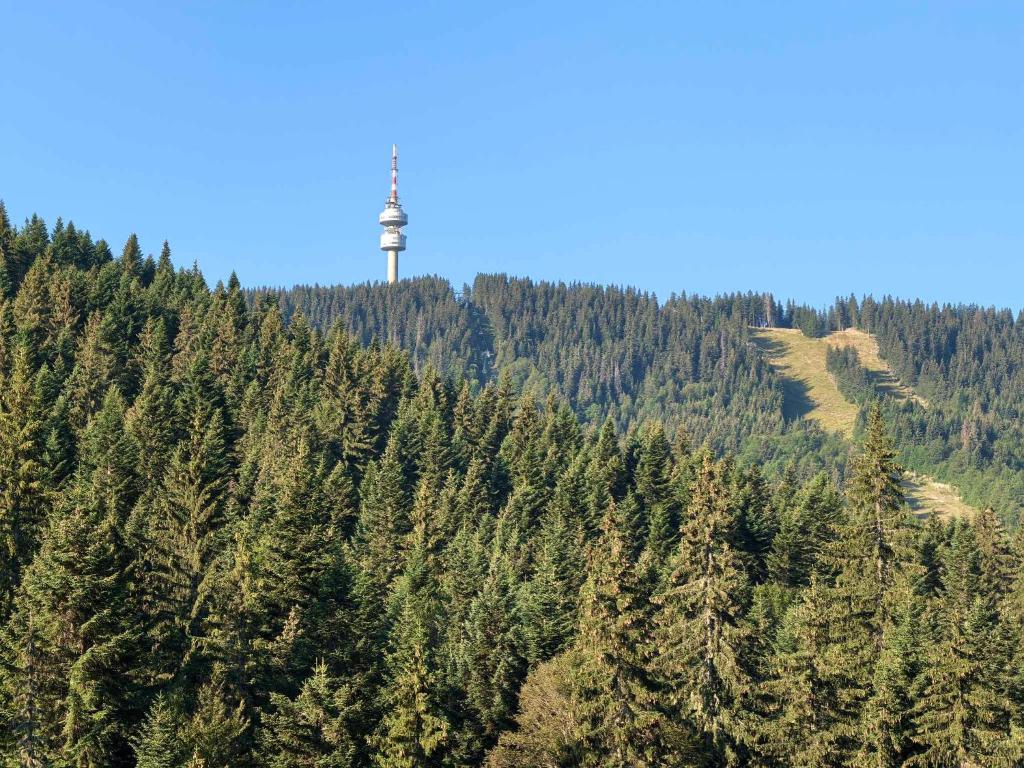 a cross on top of a hill with trees at Тайната квартира - The Secret apartment in Pamporovo