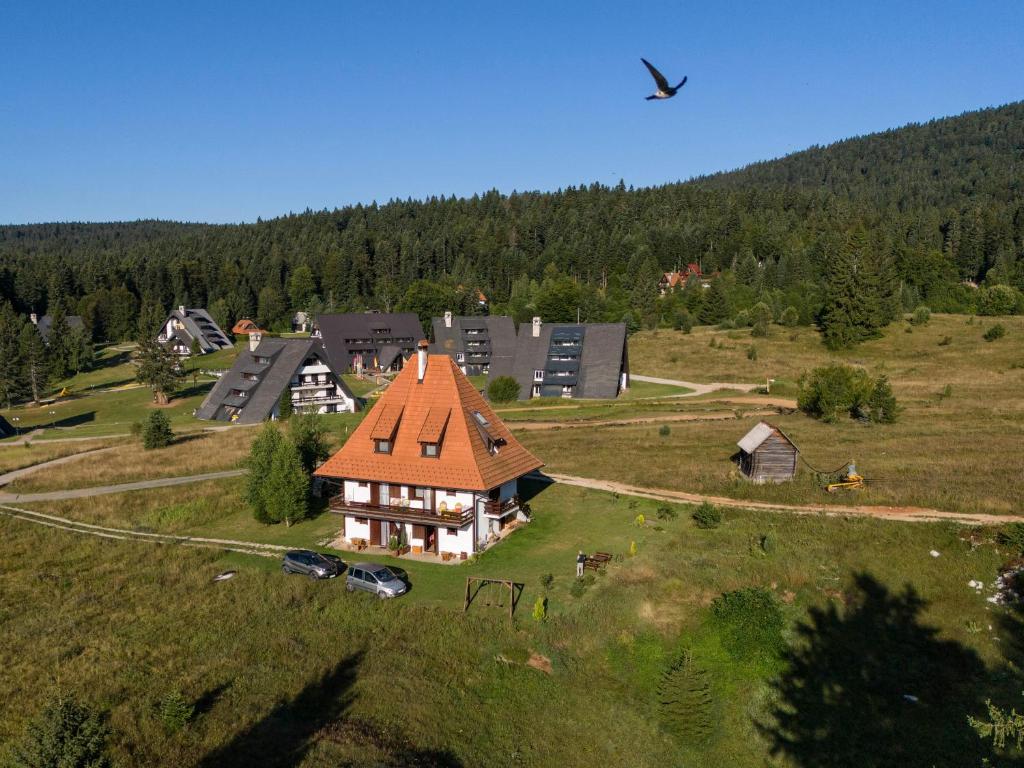 Příroda nedaleko apartmánu