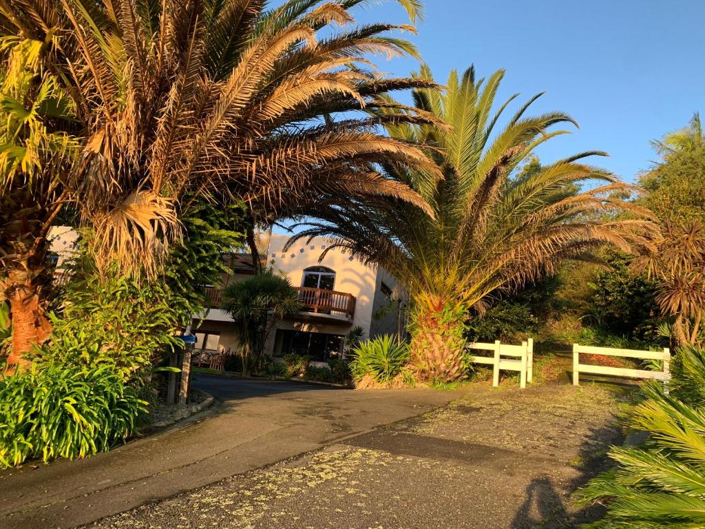 Seaview House Unit 2A - Resim 20