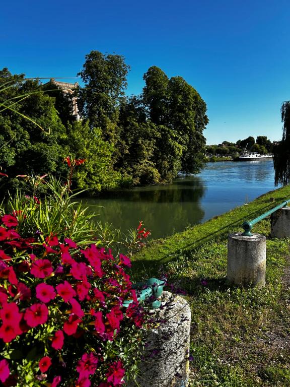 a view of a river with flowers in the foreground at La maison des Graviers in Nogent-sur-Seine