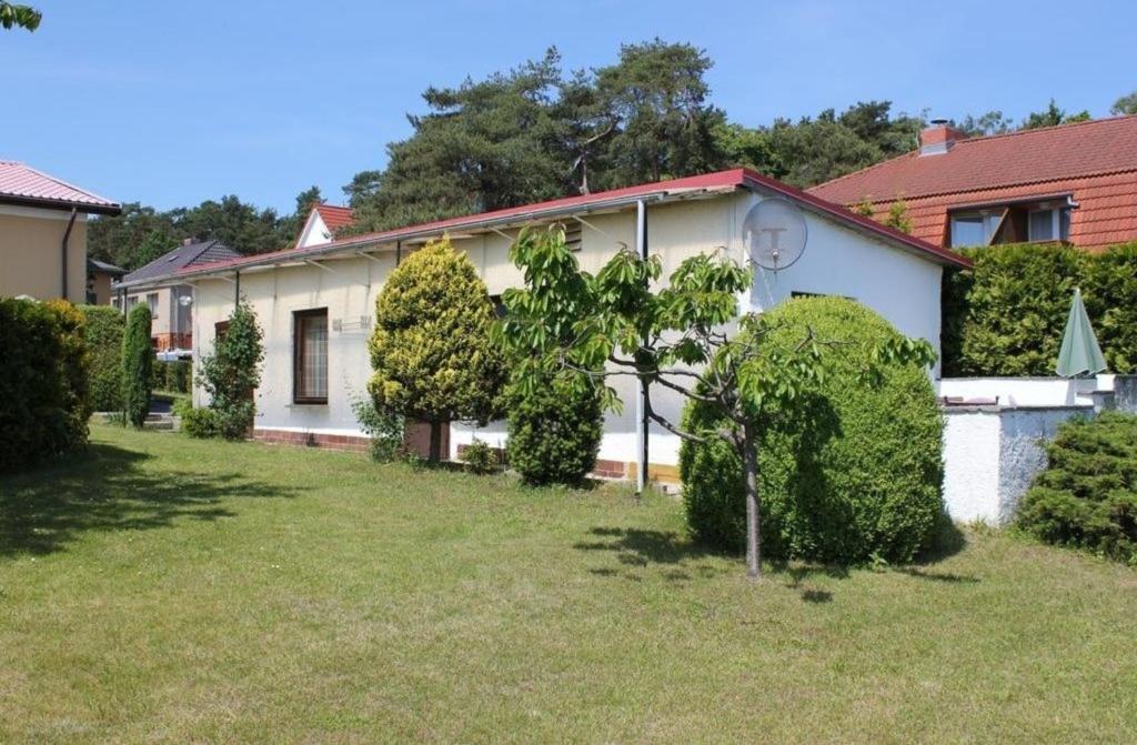 Bungalow Rose في لودين: بيت ابيض وبه اشجار في الساحه