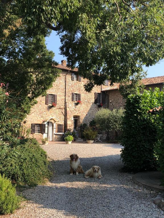Fotografie z fotogalerie ubytování B&B Cascina Mattarelle v destinaci Monzambano