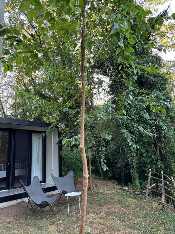 Zahrada ubytování Frutak Resort-TINY HOMES
